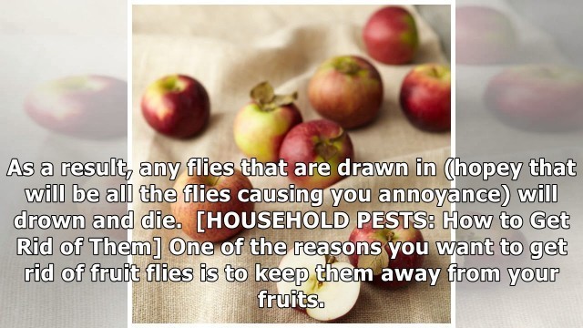 '4 Super Simple Ways to Get Rid of Fruit Flies'