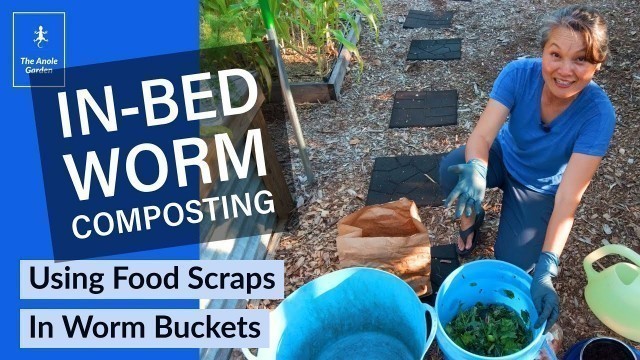 'How to Use Food Scraps for In-Bed Worm Composting'