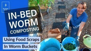 'How to Use Food Scraps for In-Bed Worm Composting'