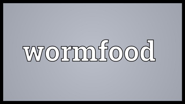 'Wormfood Meaning'