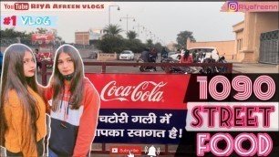 '1090 Street Food | Best Lucknow Street Food | चटोरी  गली | Our First Vlog❤ | Riya Afreen Vlogs'