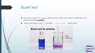 'food test - Grade 9'