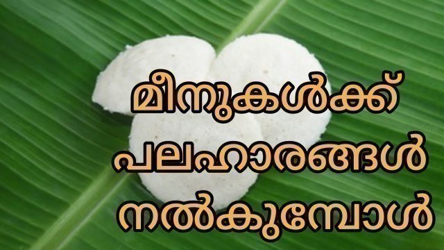 'മീനുകൾക്ക് വീട്ടിലെ ആഹാരം നൽക്കുന്നവർ അറിയാൻ#homely food given to fish'