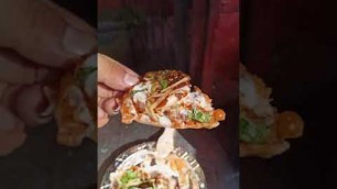 'Lucknow Famous Pandit Ji Ka Chaat l Lucknow Street Food | Hidden Gems in Lucknow #Shorts #Food 