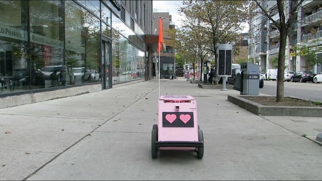 'Meet Geoffrey, the pink delivery robot making his way around Corktown'