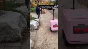 'robot delivers food and snacks'