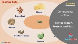 'Components of Food Class 6 Science - Test for Starch, Protein and Fats'