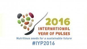 'What are pulses and why are they important crops for food security'