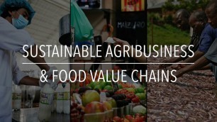 'FAO Policy Series: Sustainable Agribusiness & Food Value Chains'