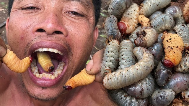 'Primitive Culture: Amazing Man Find and Cooking Coconut Worms'