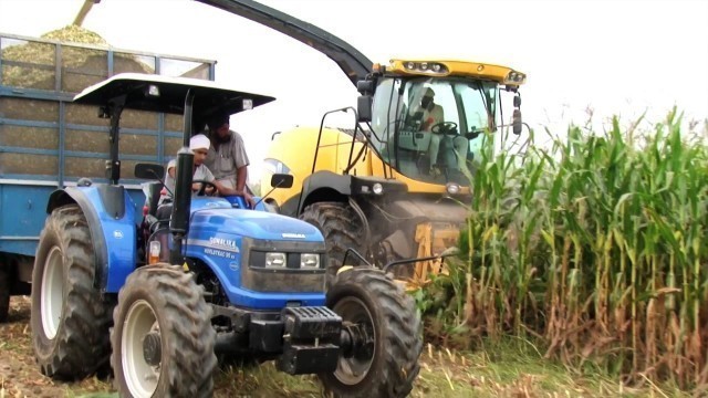 'Utilization of baby corn byproducts and wastes as livestock feed'