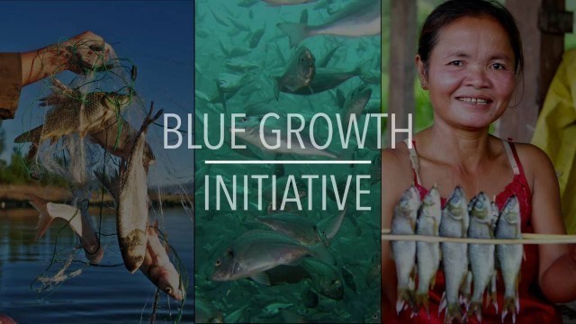 'FAO Policy Series: Blue Growth Initiative'