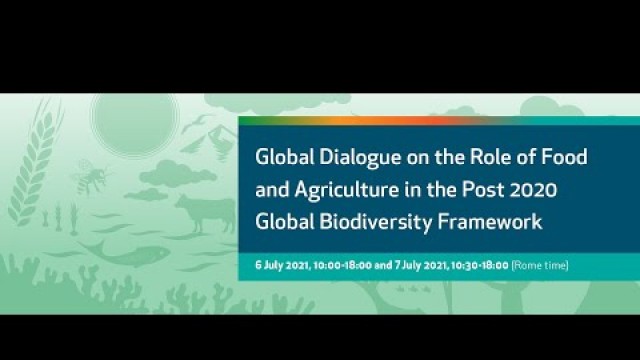 'Global Dialogue: Food and agriculture in the Post 2020 Global Biodiversity Framework 4'