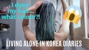 'Living Alone in Korea Diaries - Dying my hair, ordering food, Monday\'s night routine'