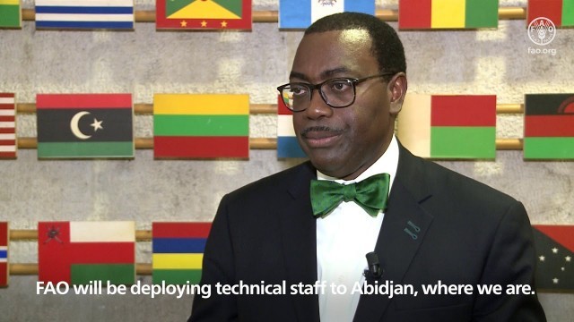 'Remarks by the African Development Bank President Akinwumi Adesina'