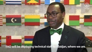 'Remarks by the African Development Bank President Akinwumi Adesina'