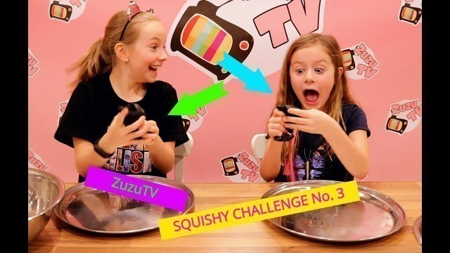 'ZuzuTV Challenge - Squishy/Mačkací VS Real/Normální Jídlo No. 3!!!'