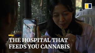 'Thailand hospital introduces cannabis into their restaurant food menu'