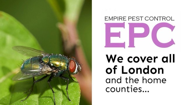 'FLY CONTROL LONDON UK ~ GET RID OF FLIES ~ EMPIRE PEST CONTROL LONDON'