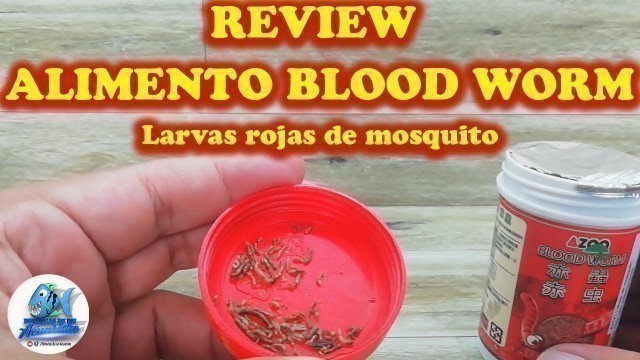 'REVIEW ALIMENTO PARA PECES BLOOD WORM DE LA MARCA AZOO'