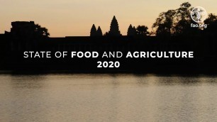 'State of Food and Agriculture (SOFA) 2020 :  Overcoming Water Challenges in Agriculture'