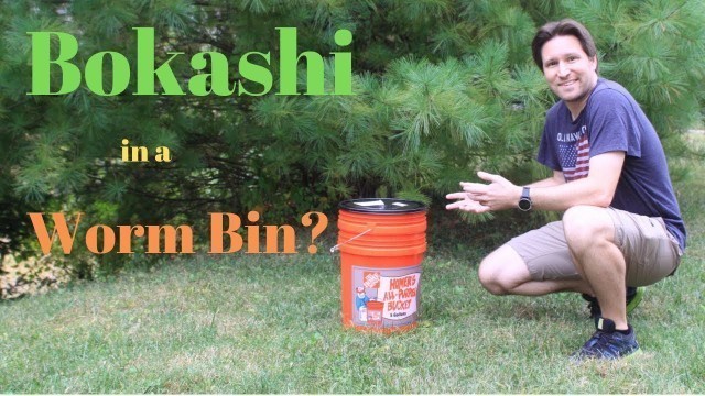 'Adding Bokashi Composting Material in a worm bin?(10-13-2019)'