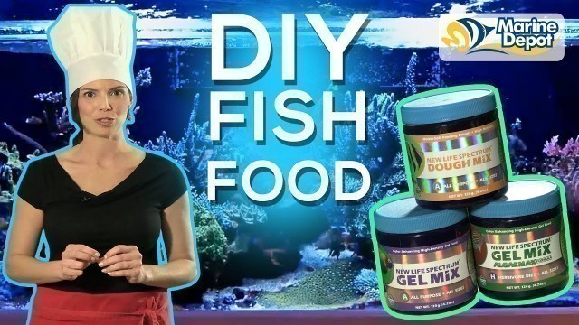 'Make Your Own Fish Food and Save Money | A DIY with Hilary of WaterLogged'