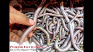 'sasing  saypo (peanut worm) - [Philippine Food Illustrated]'