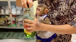 'Baby Monkey Maya Care Full Watch Grandma Cook Food'