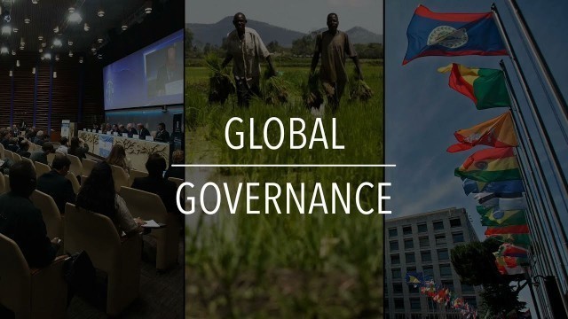 'FAO Policy Series: Global Governance'