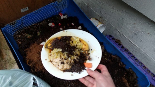 'Growing your compost worm population with free food.'