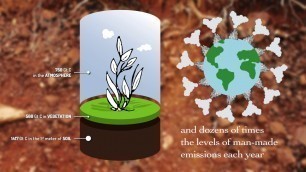 'Soil Organic Carbon – the treasure beneath our feet'