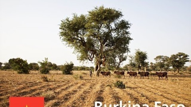 'Action Against Desertification - Burkina Faso'