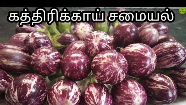 'கத்திரிக்காய் சமையல்|Easy Brinjal Dish|Homely Food|KFS|2019'