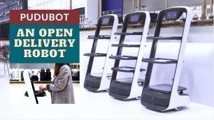 'Meet Pudubot - A Food Delivery Robot'