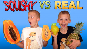 'Twins Squishy Vs Real Challenge'