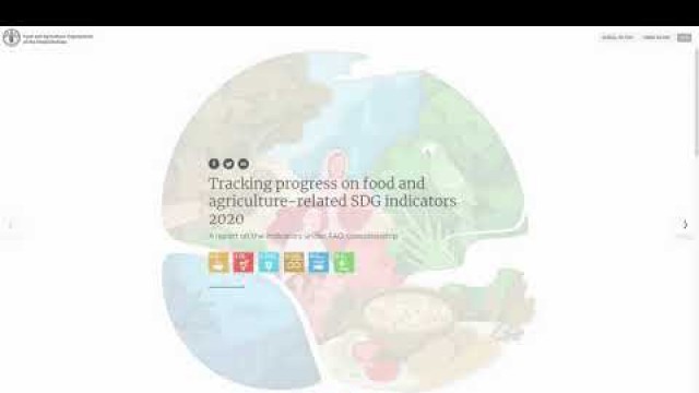 'Tracking progress on food and agriculture-related SDG indicators (2020)'