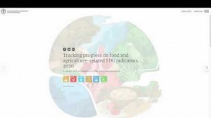 'Tracking progress on food and agriculture-related SDG indicators (2020)'