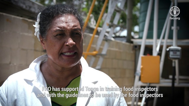 'FAO Working to Improve Food Safety in Asia and the Pacific - Tonga'