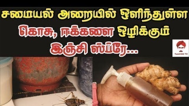 'சமையல் அறையில் ஒளிந்துள்ள கொசு, ஈக்களை ஒழிக்கும் இஞ்சி ஸ்ப்ரே || Get rid of flies using ginger spray'