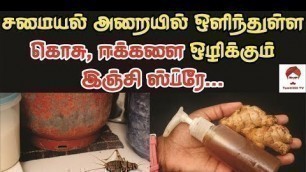 'சமையல் அறையில் ஒளிந்துள்ள கொசு, ஈக்களை ஒழிக்கும் இஞ்சி ஸ்ப்ரே || Get rid of flies using ginger spray'