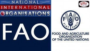 'FAO - National/ International Organisation'