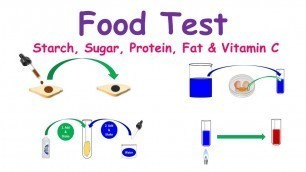 'Food Test Experiments (Testing for: Starch, Proteins, Sugar, Fats & Vitamin C)'