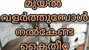 'മുയലിനു കൈതീറ്റ എങ്ങനെ ഉണ്ടാക്കാം വീട്ടിൽ|Homely food for rabbit|bathlahem rabbitfram|rabbit framing'