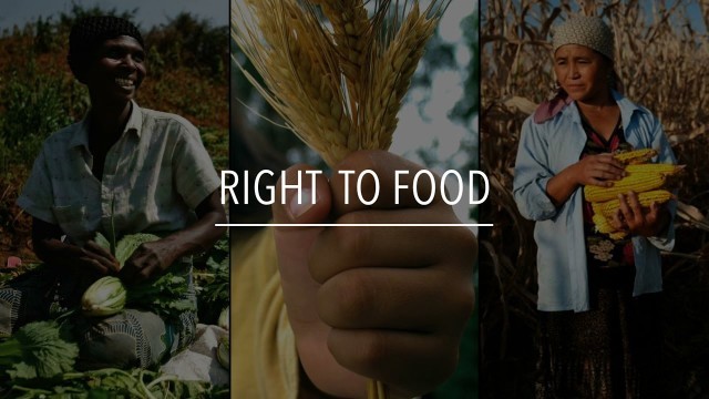 'FAO Policy Series: Right to Food'