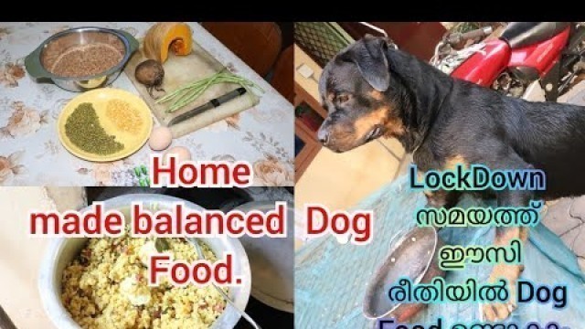 'Home made balanced  Dog Food.  Lockdown സമയത്തു നായകൾക്ക് കൊടുക്കാൻ ഉള്ള  ഭക്ഷണം.'