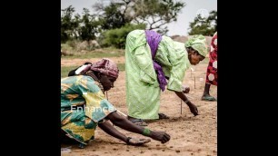 'FAO + Canada. Building resilience and empowering women for food and nutrition security'