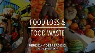 'FAO Serie sobre políticas: Pérdida y desperdicio de alimentos (con subtítulos)'