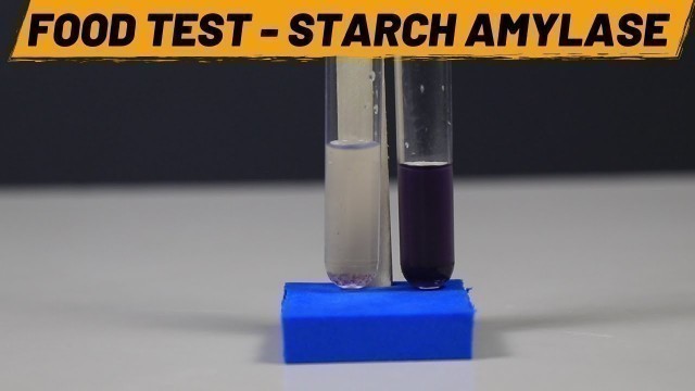 'Food Test - Starch Amylase | ThinkTac'