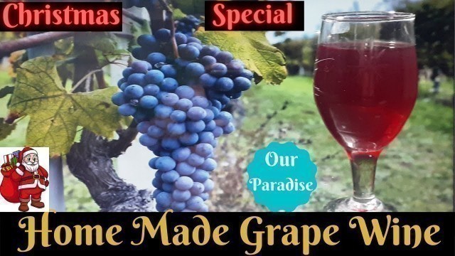 'Grape Wine || Christmas Special || Homely food'